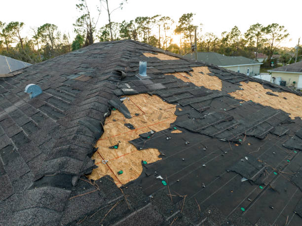 Best Solar Panel Roofing Installation  in Central, TN